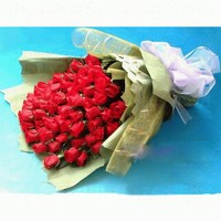 Dazzling-33 Roses